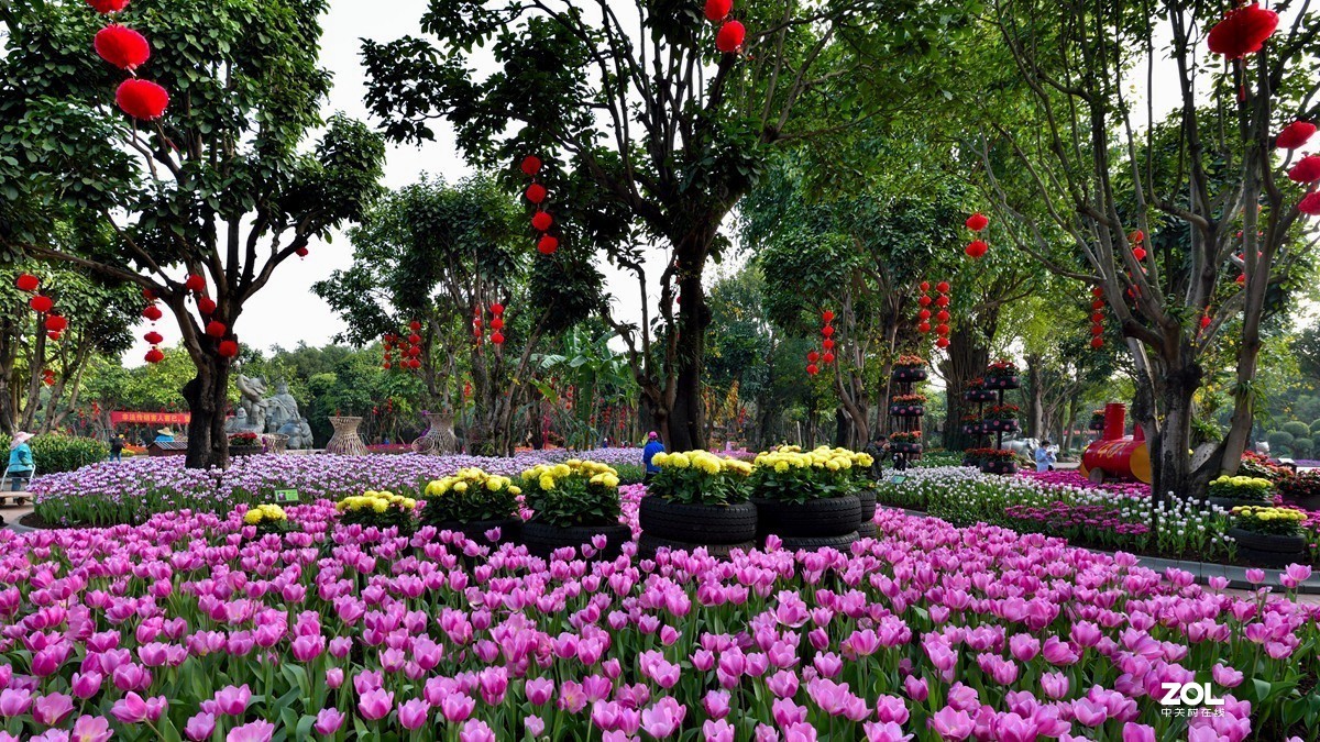 郁金香展场2