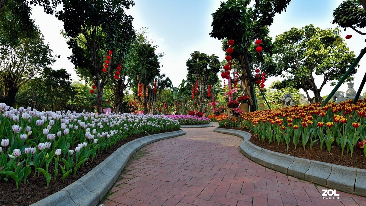 郁金香展场2