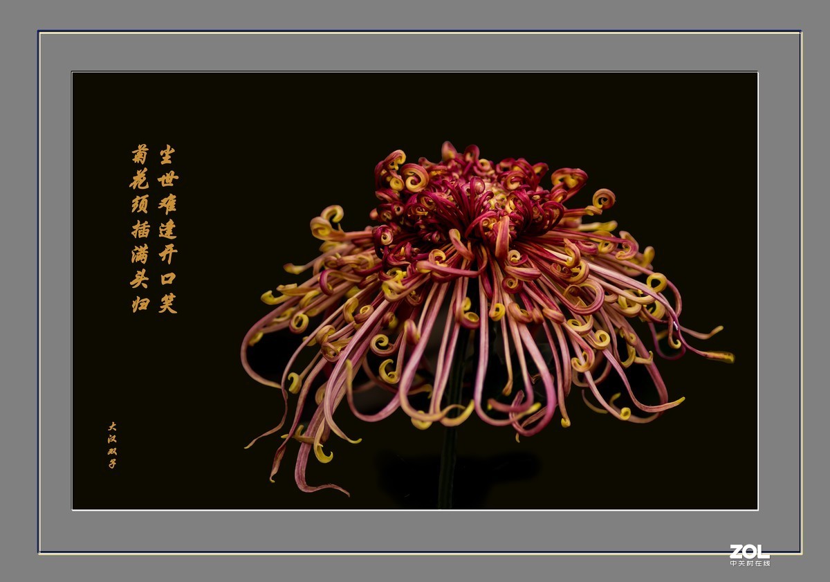 不能出门，闭门学做边框