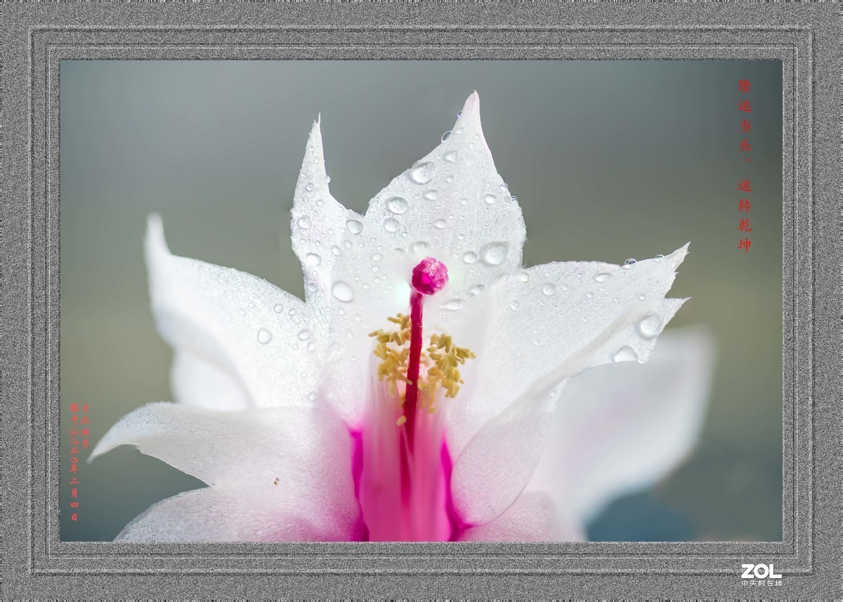 不能出门，闭门学做边框