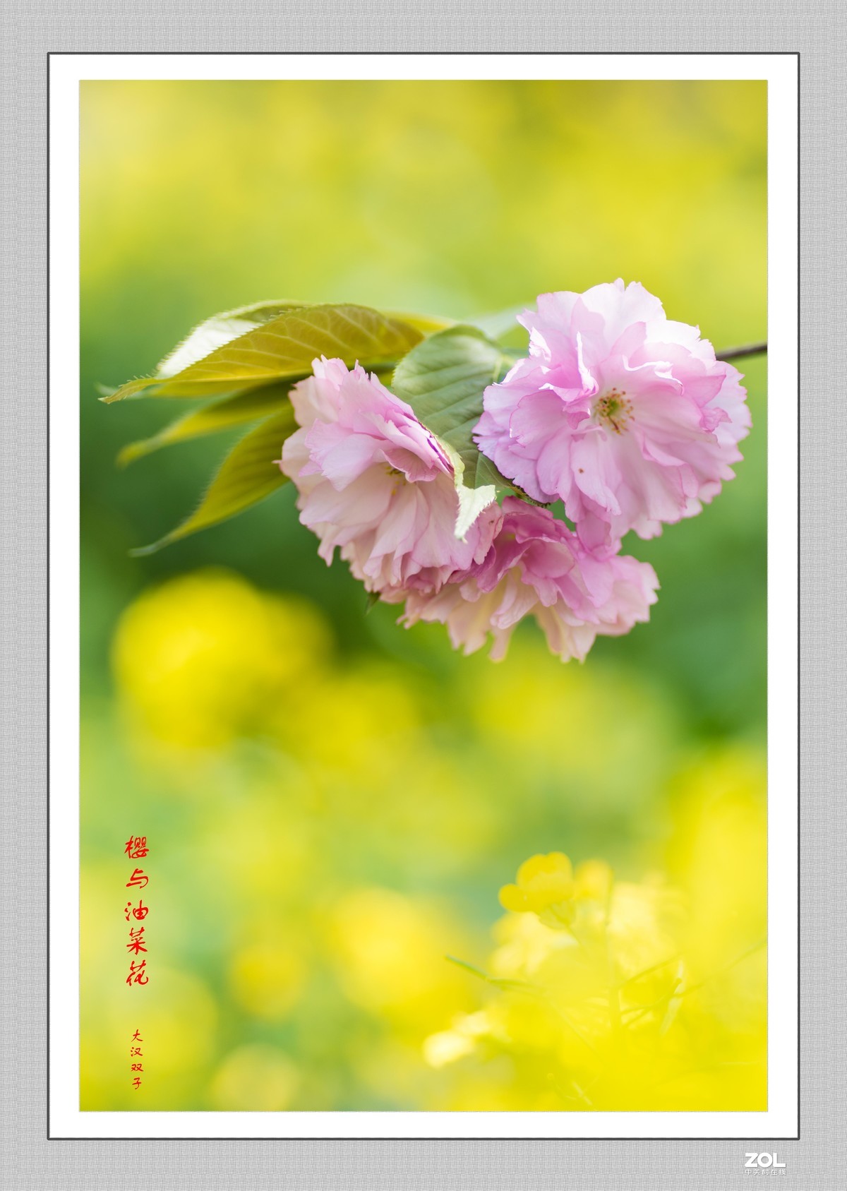 不能出门，闭门学做边框