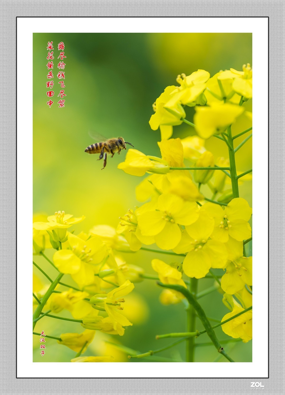 不能出门，闭门学做边框