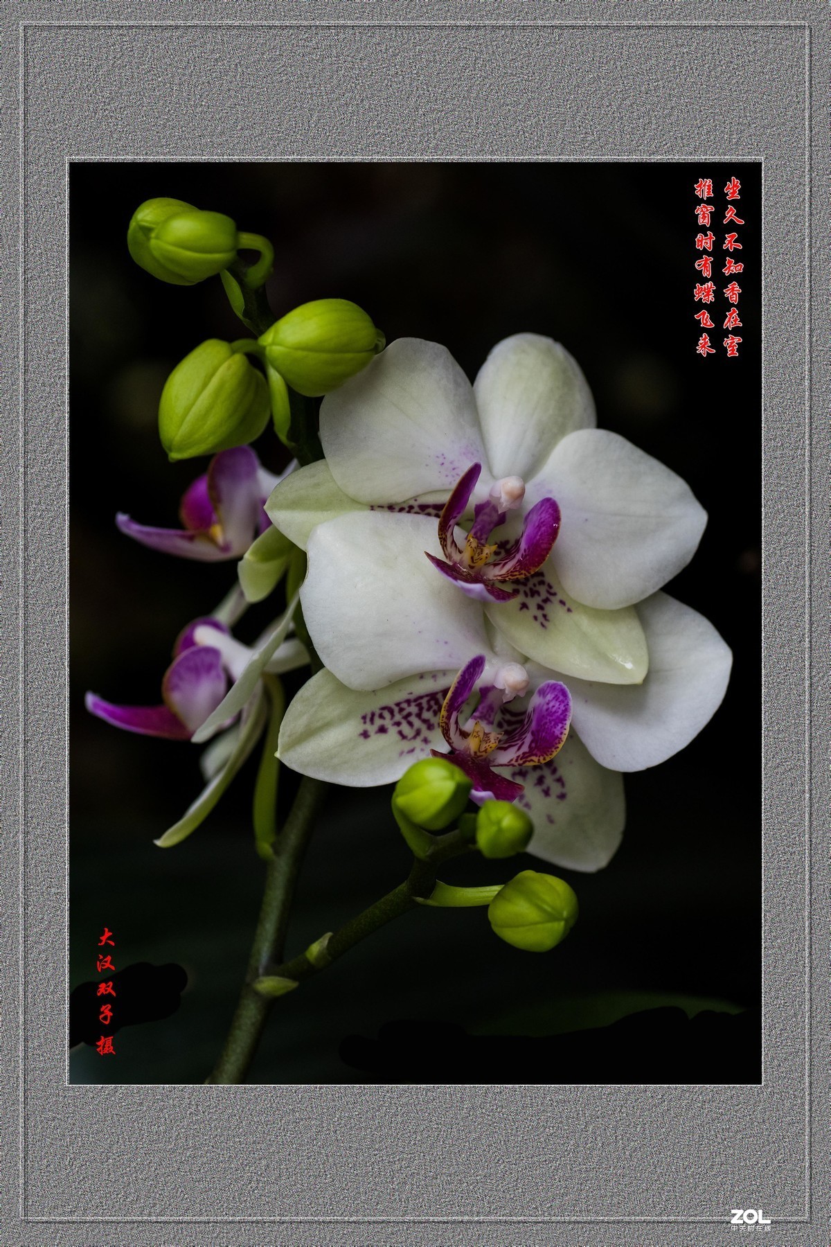 不能出门，闭门学做边框