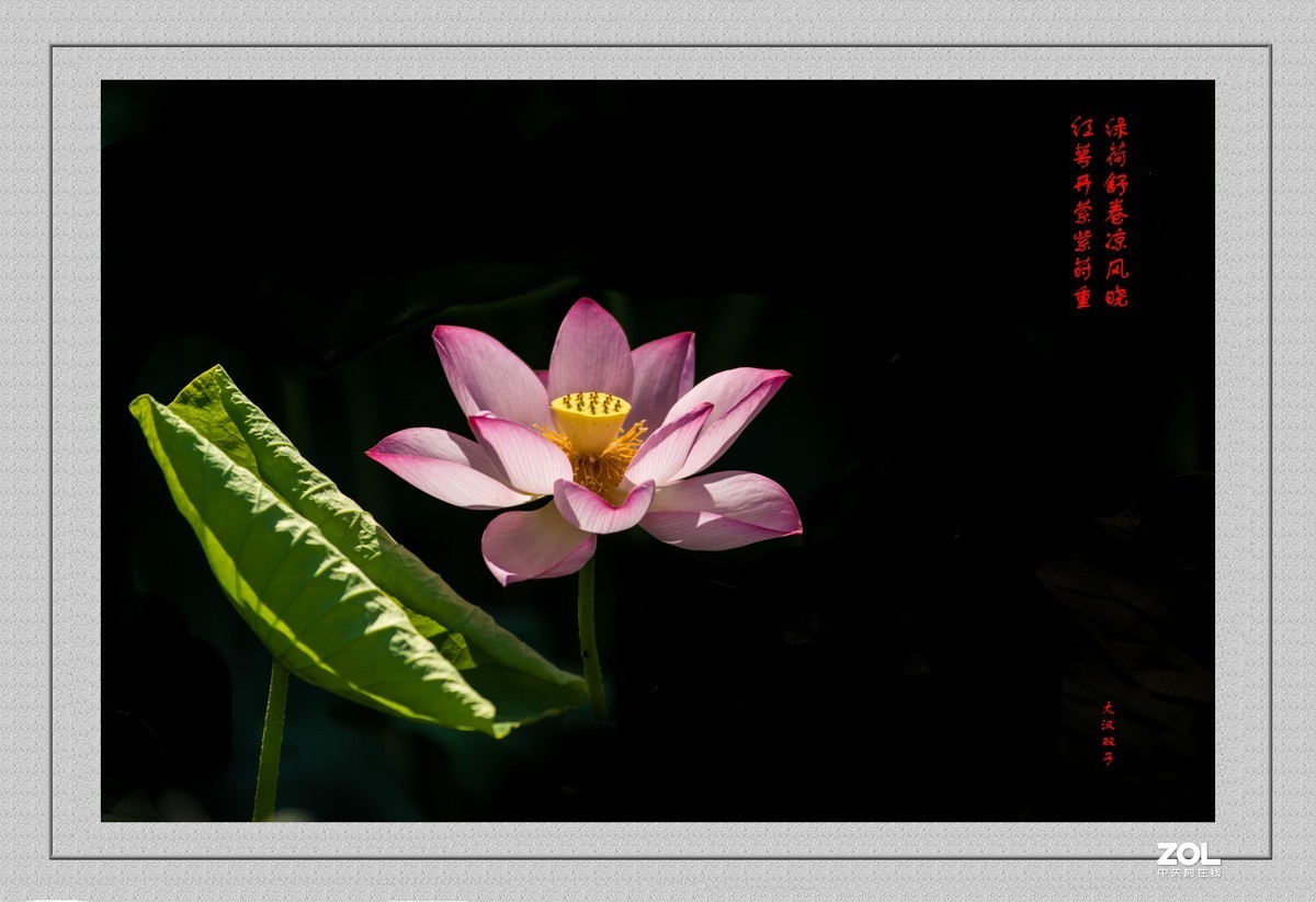 不能出门，闭门学做边框