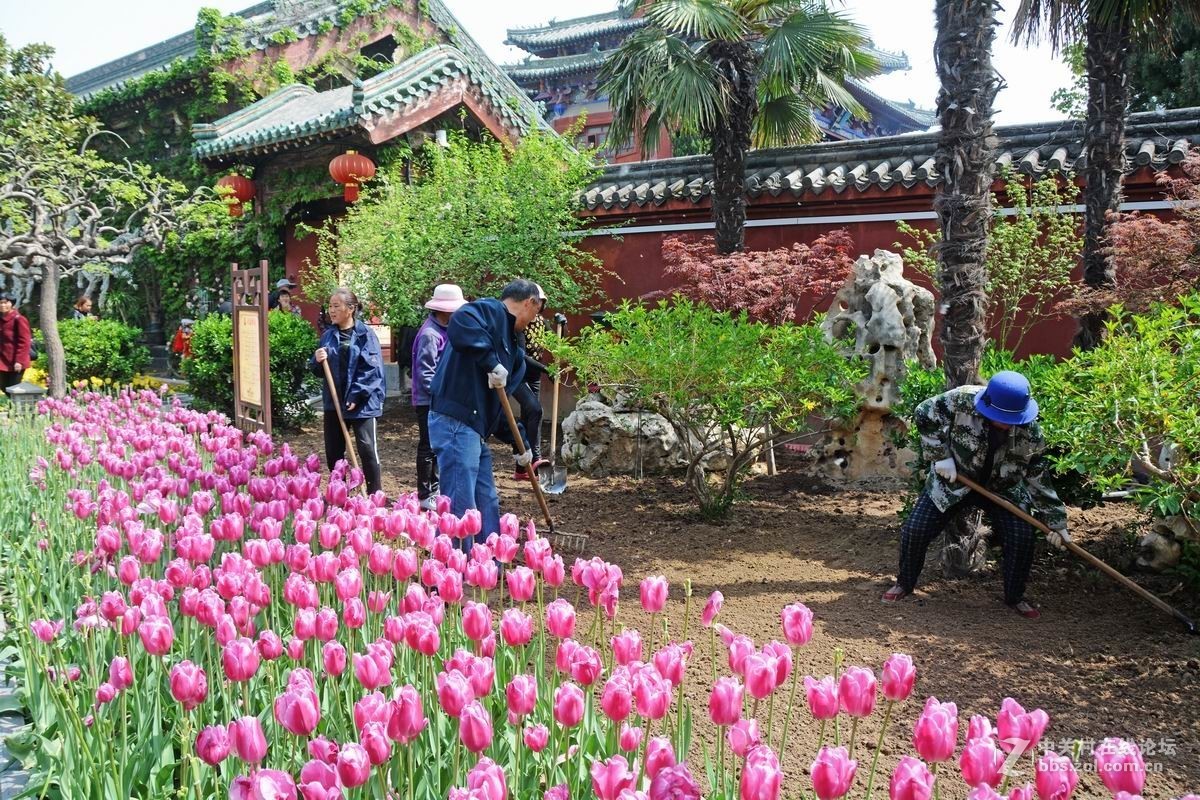 四月花事稠，乐坏看花人