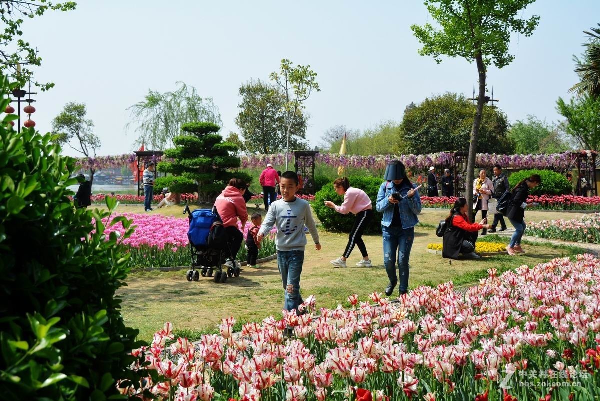 四月花事稠，乐坏看花人