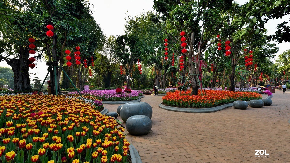 郁金香展场2