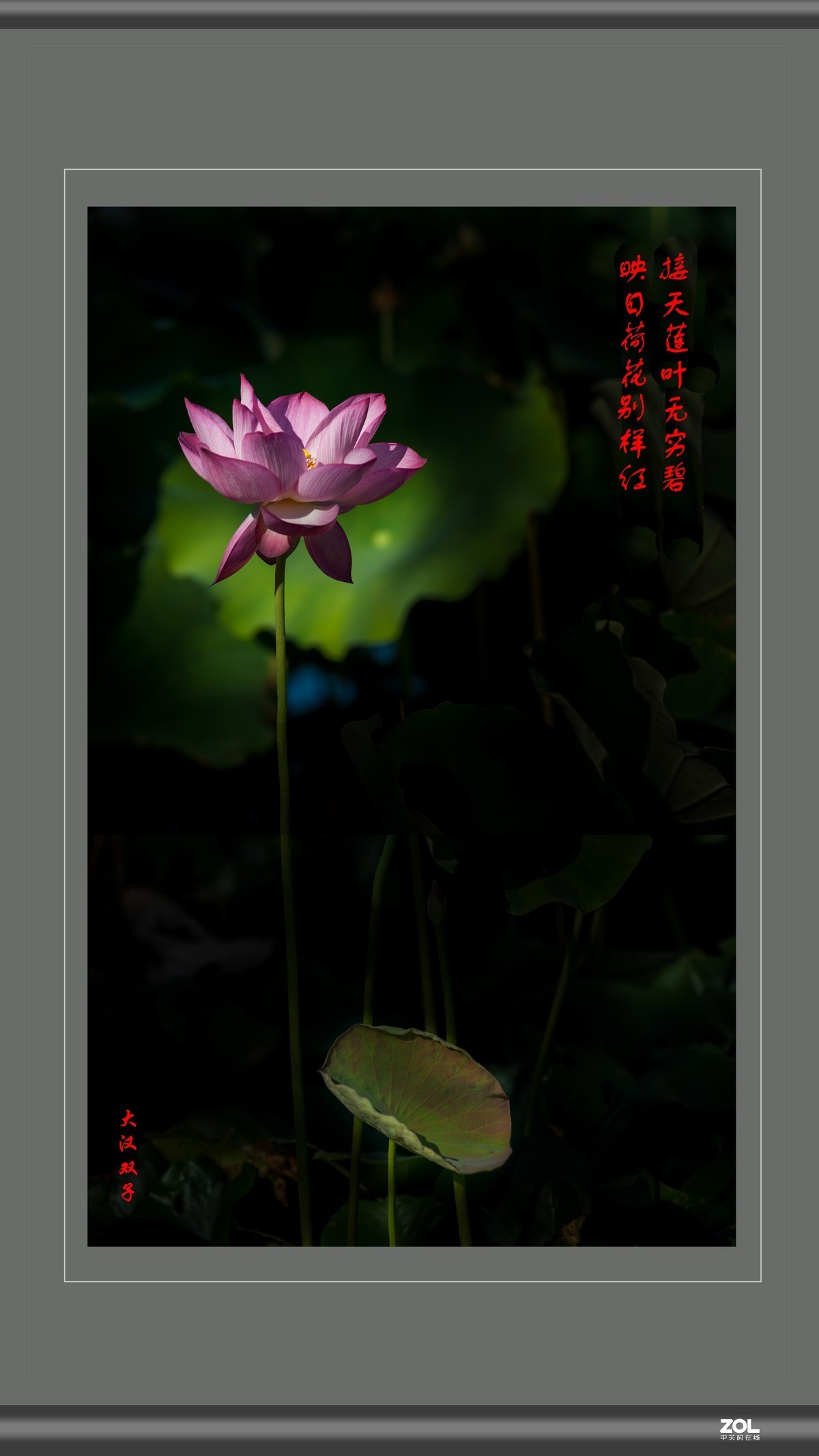 不能出门，闭门学做边框