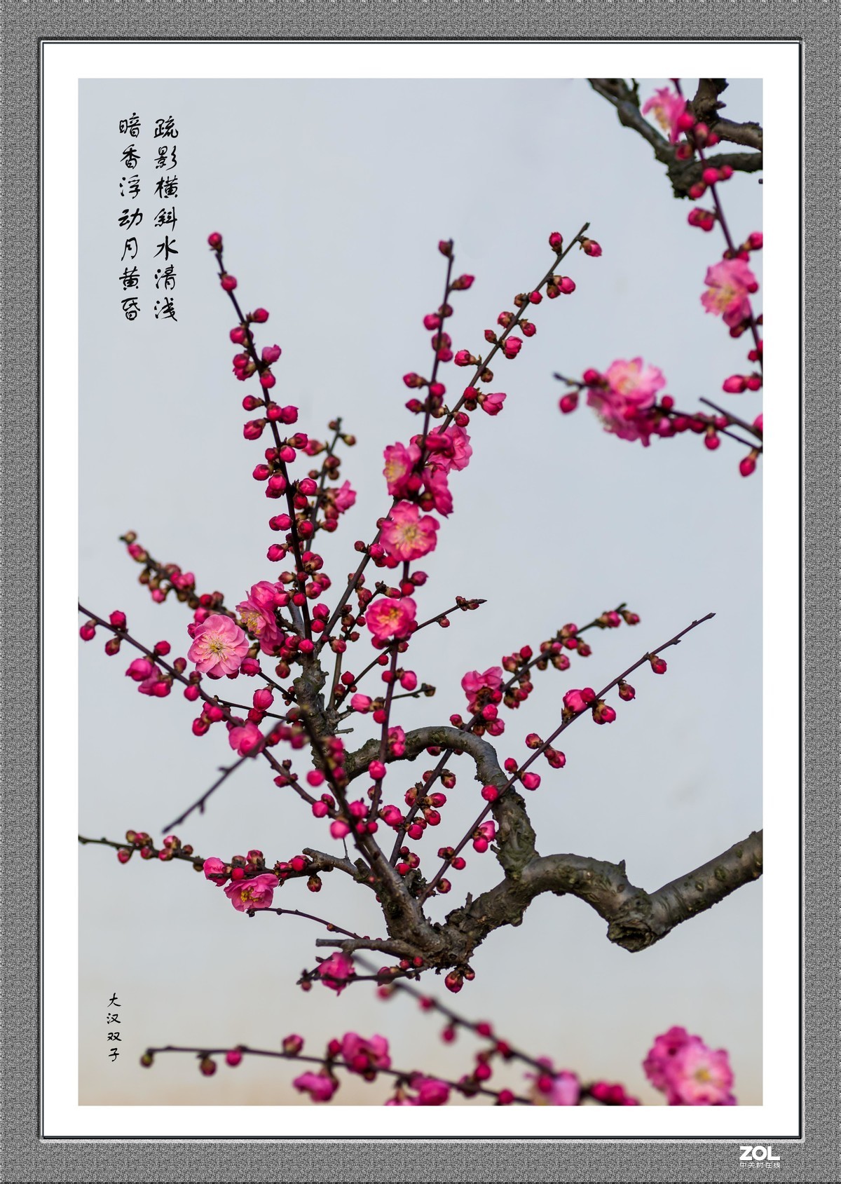 不能出门，闭门学做边框