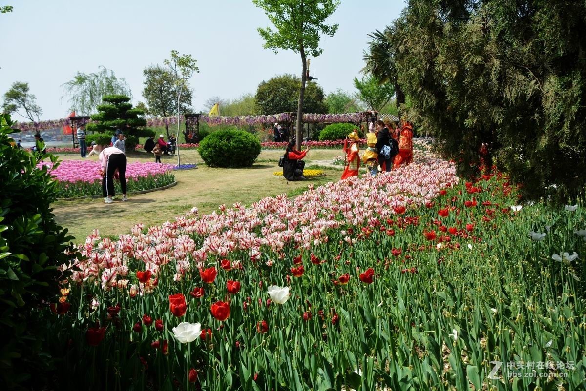 四月花事稠，乐坏看花人