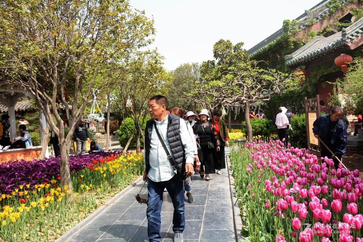 四月花事稠，乐坏看花人