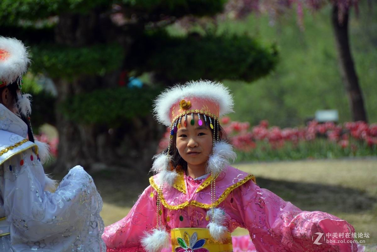 四月花事稠，乐坏看花人