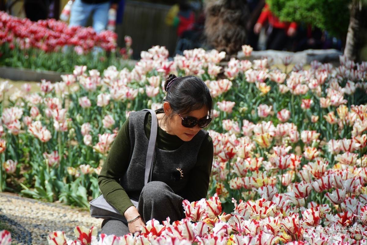 四月花事稠，乐坏看花人