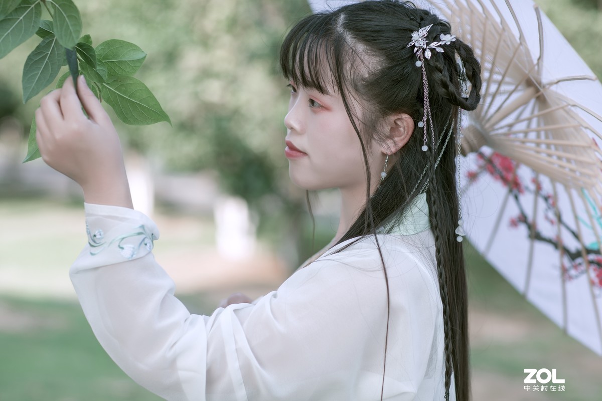 【如影人像】何仙姑