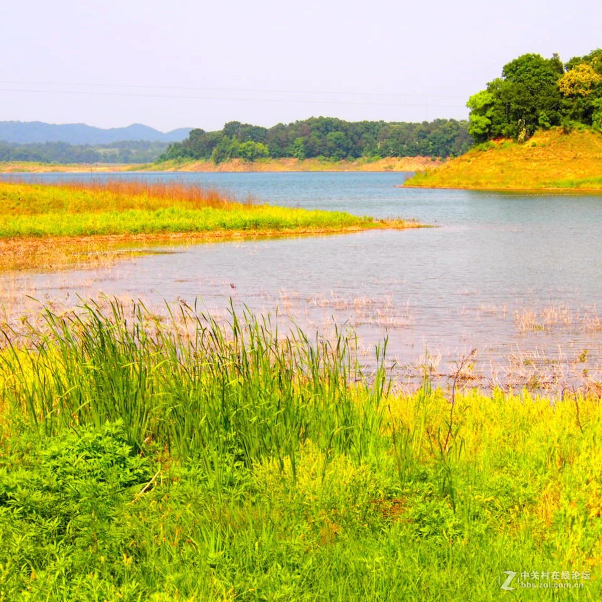 信阳南湾湖水利风景区湿地景观剪影