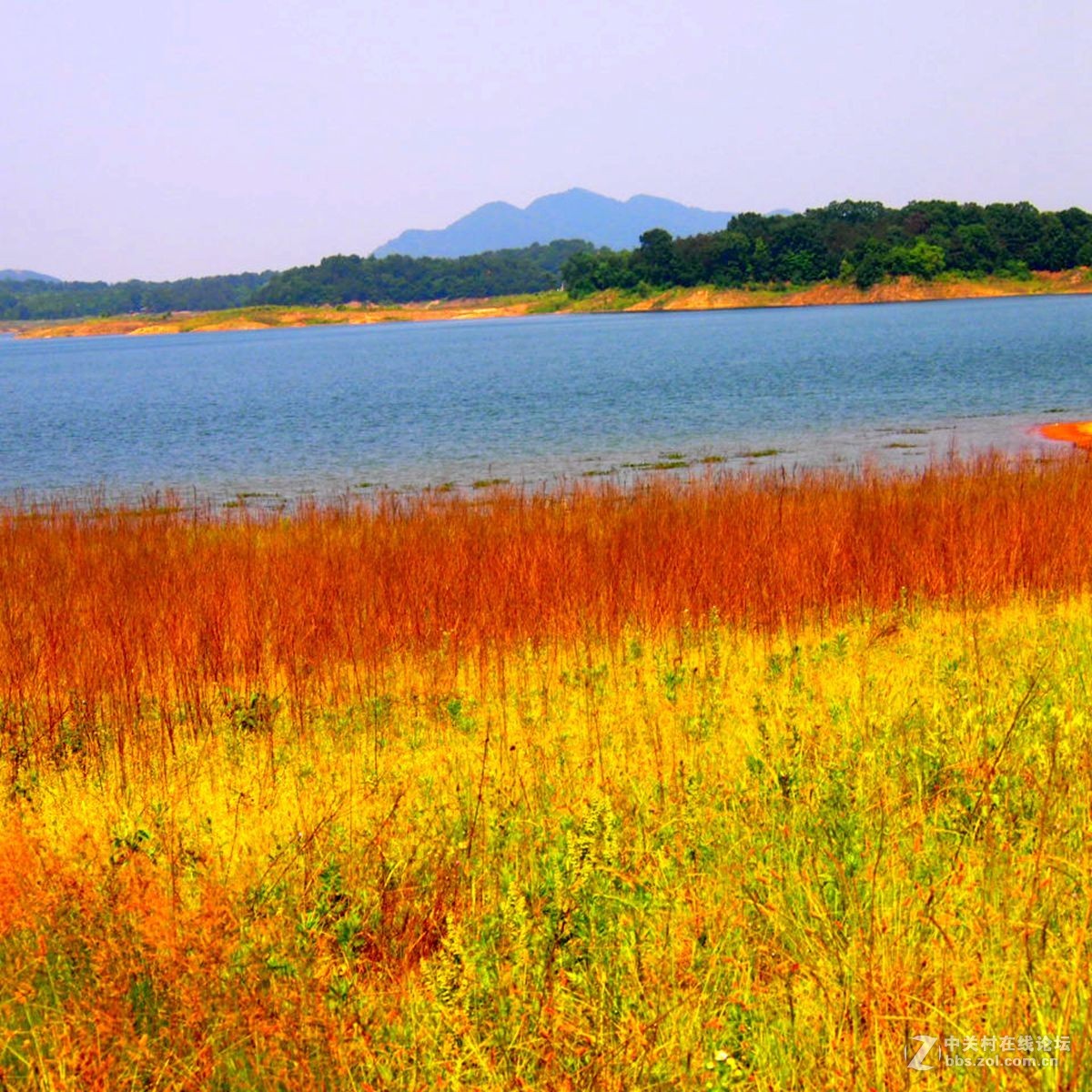 信阳南湾湖水利风景区湿地景观剪影