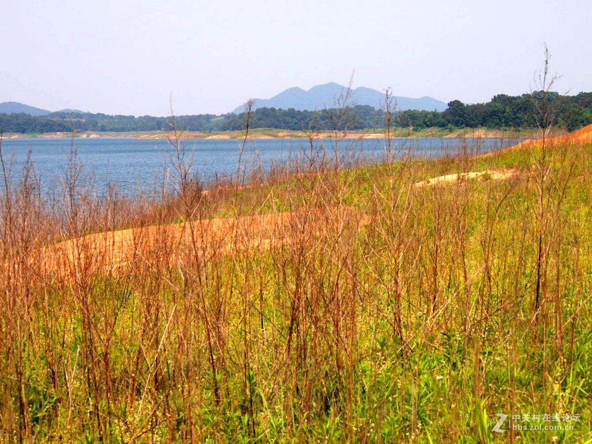 信阳南湾湖水利风景区湿地景观剪影