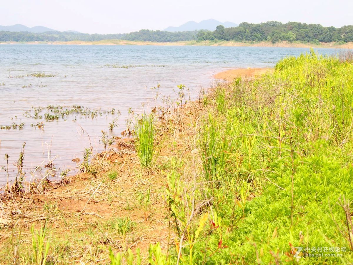 信阳南湾湖水利风景区湿地景观剪影