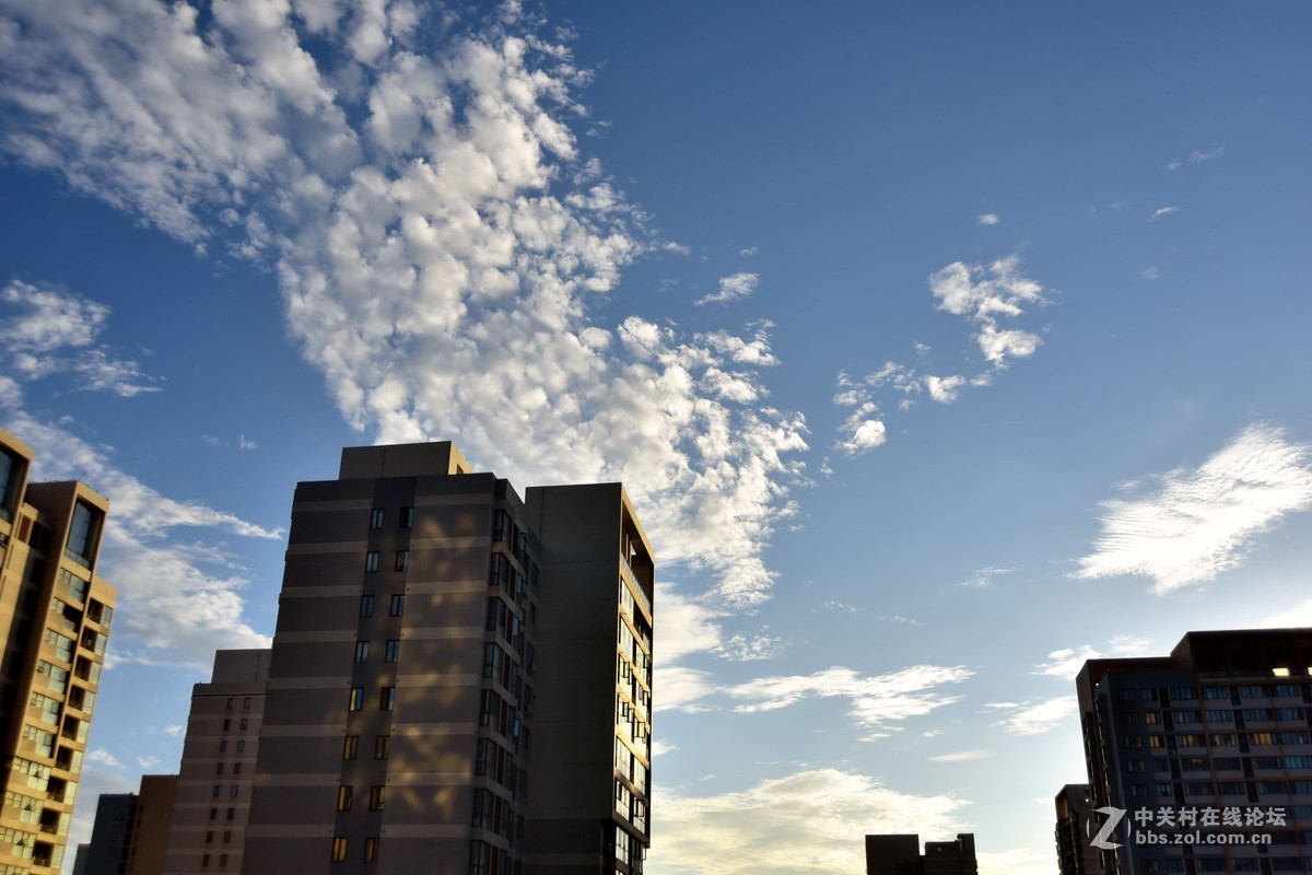 D750+适马35 1.4G ART  傍晚随拍