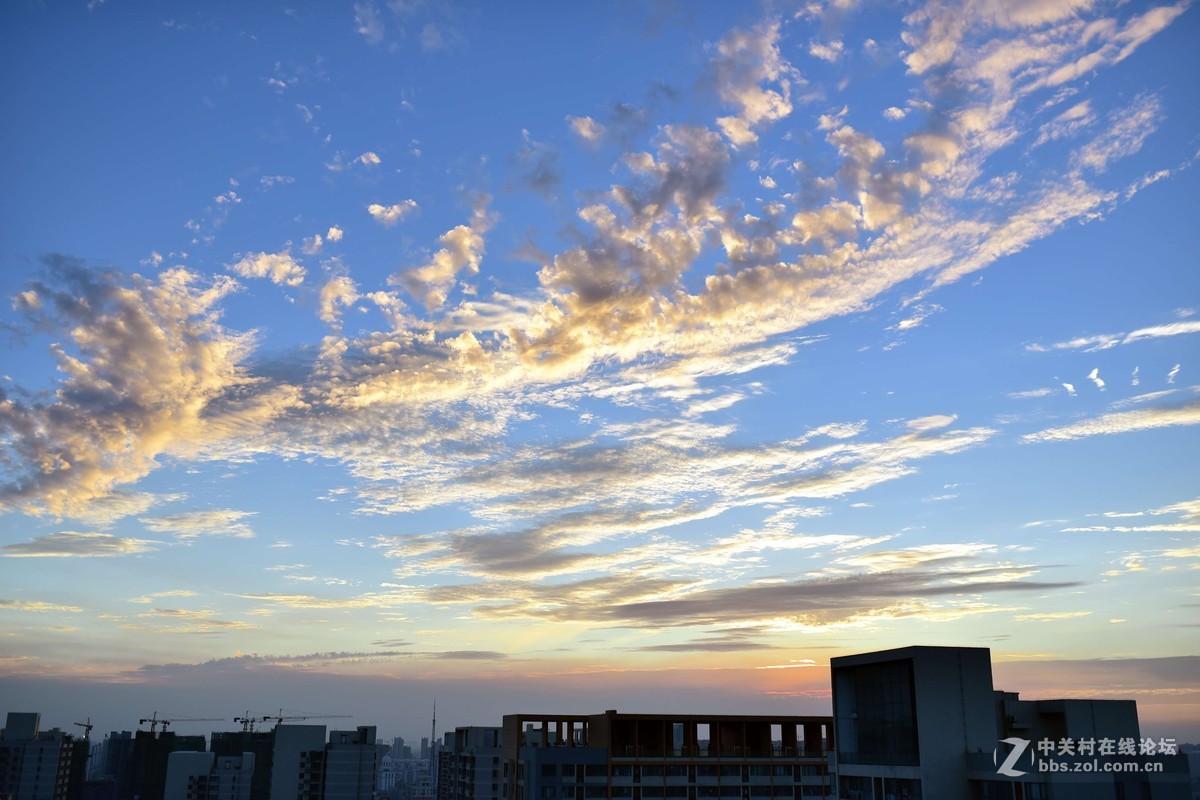 D750+适马35 1.4G ART  傍晚随拍