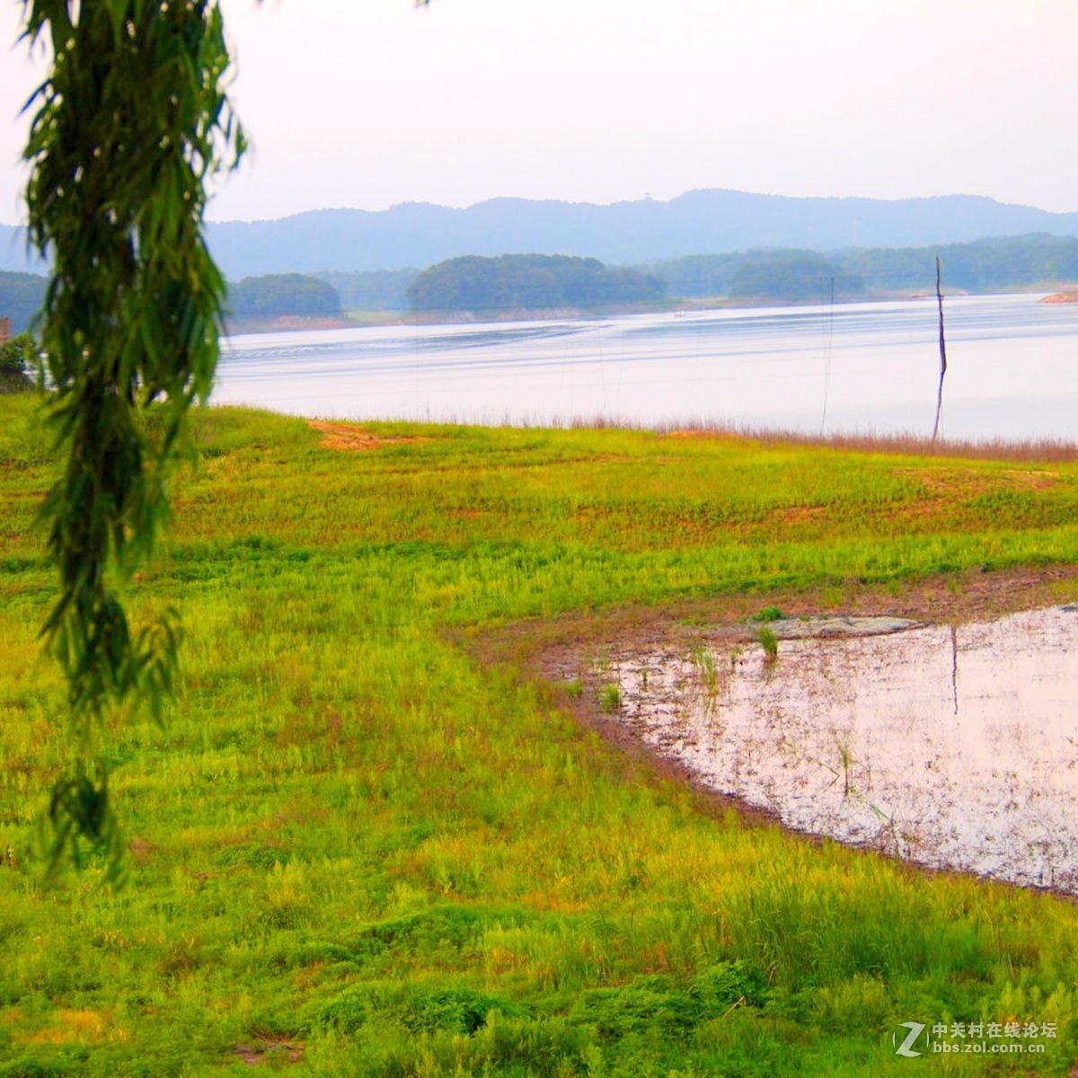 信阳南湾湖水利风景区湿地景观剪影