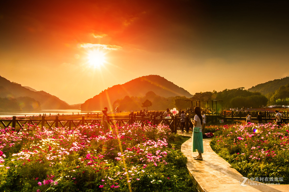 光———————影