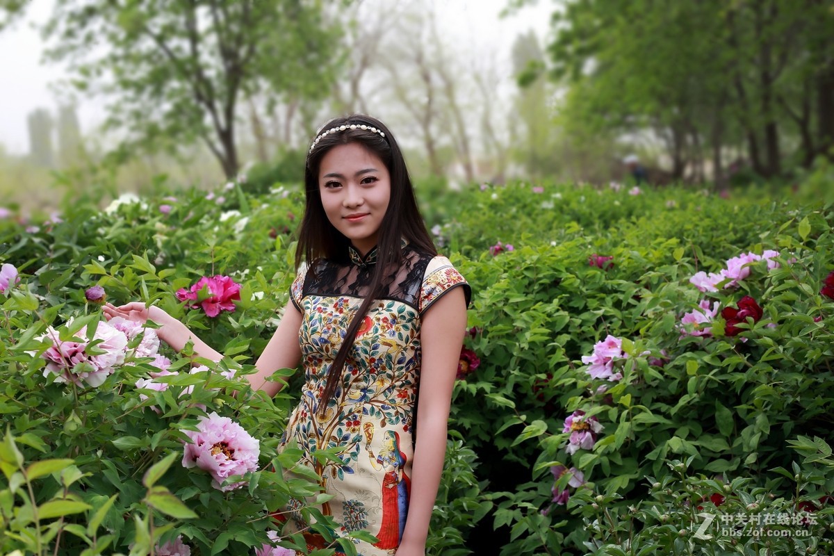牡丹与模特—祁连山歌