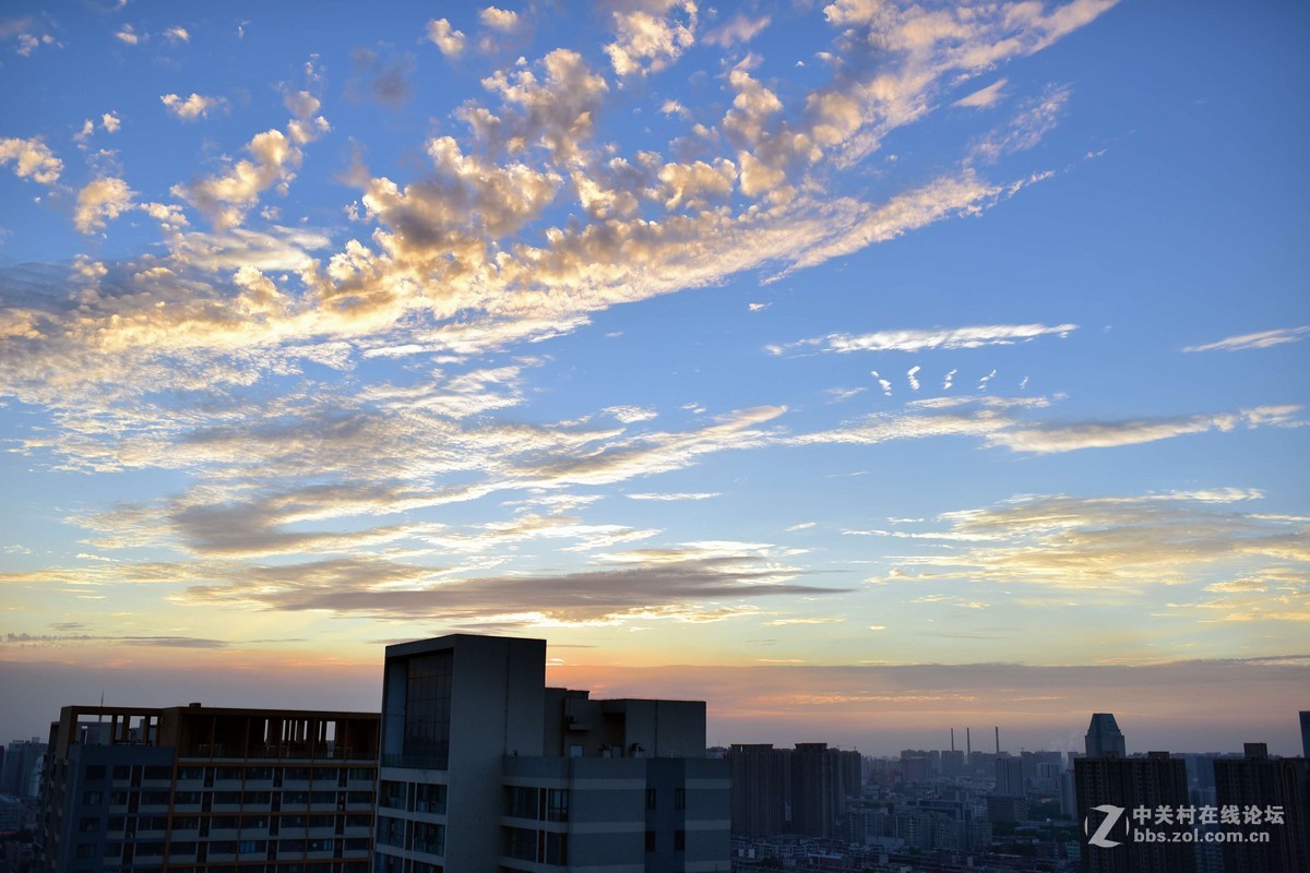 D750+适马35 1.4G ART  傍晚随拍