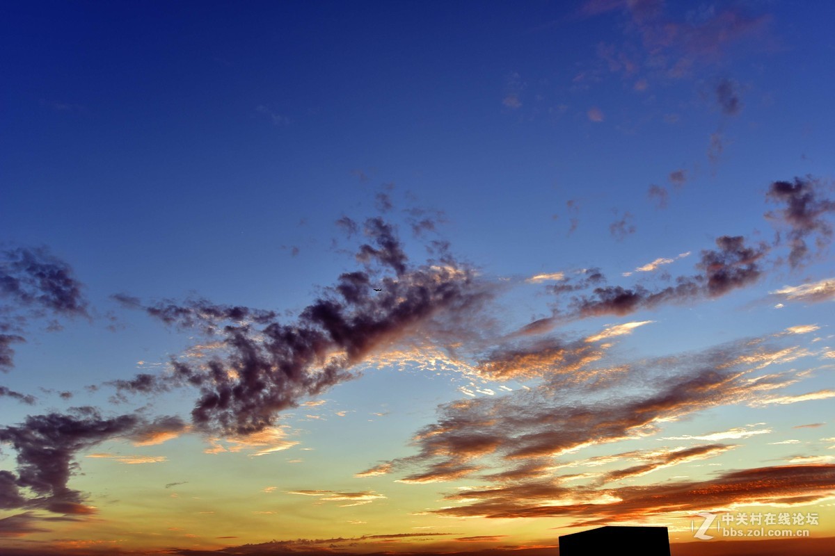 D750+适马35 1.4G ART  傍晚随拍