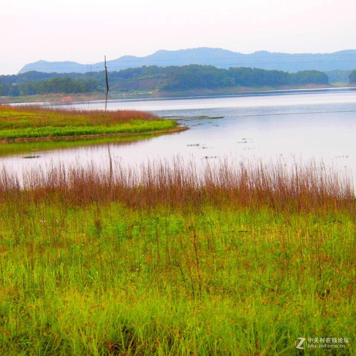 信阳南湾湖水利风景区湿地景观剪影