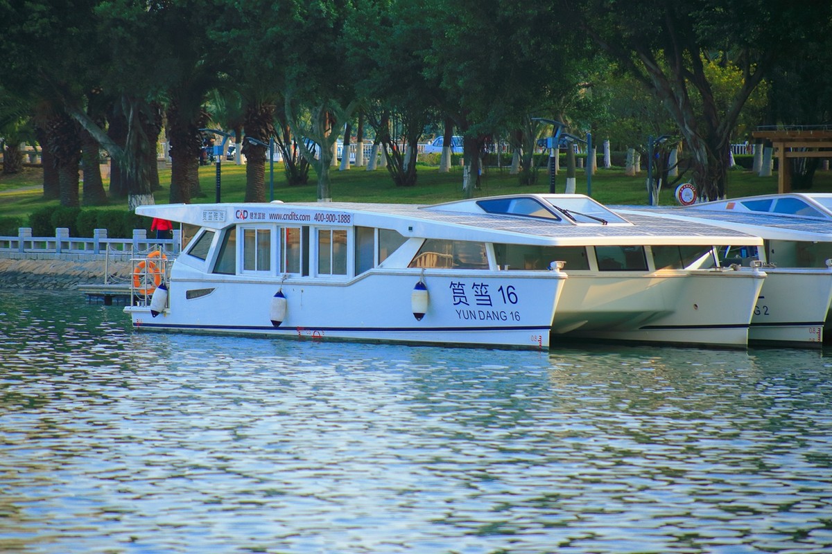 试拍廉价远摄镜头，效果喜出望外