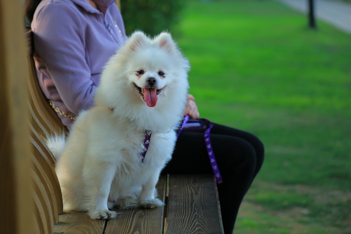 试拍廉价远摄镜头，效果喜出望外