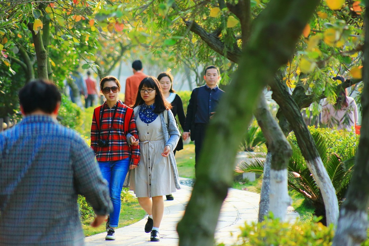 试拍廉价远摄镜头，效果喜出望外