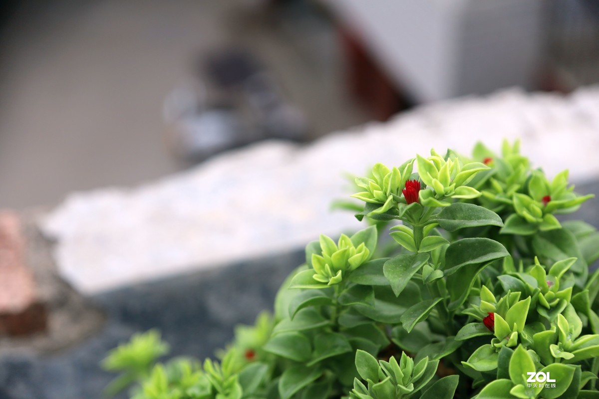 EOS RP开箱、试机