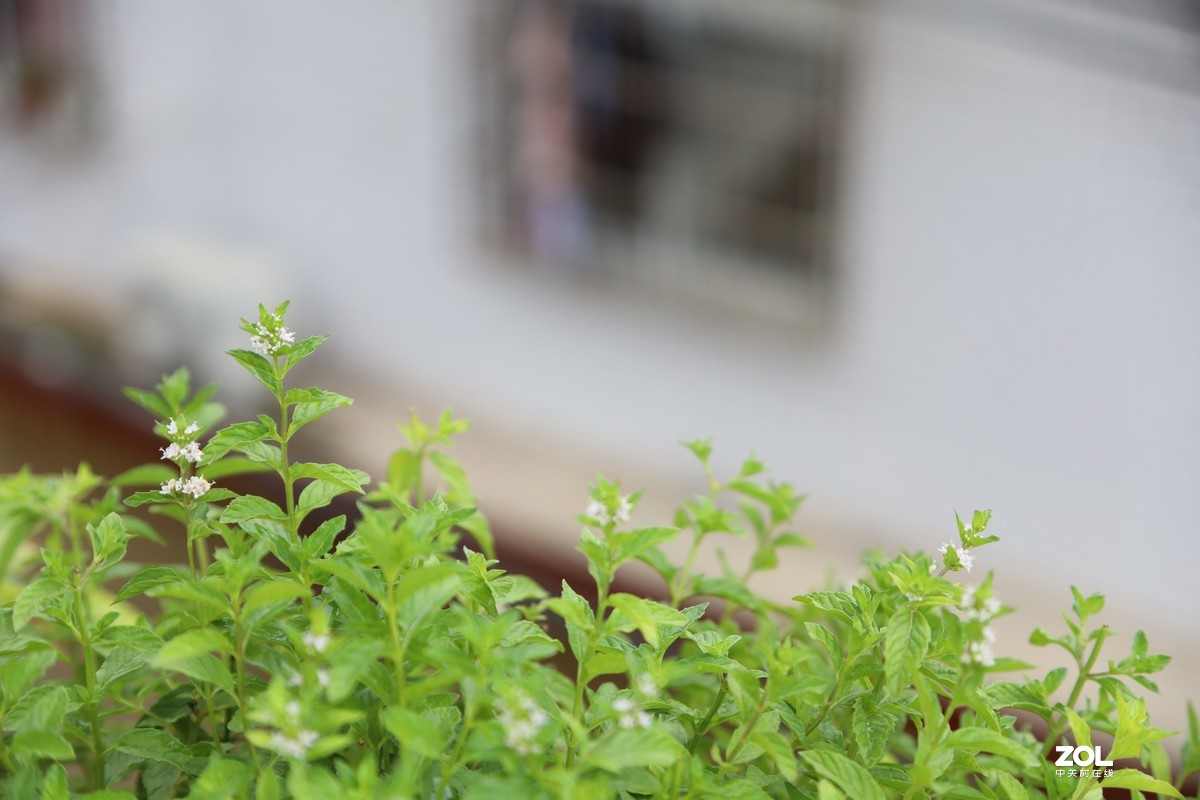 EOS RP开箱、试机