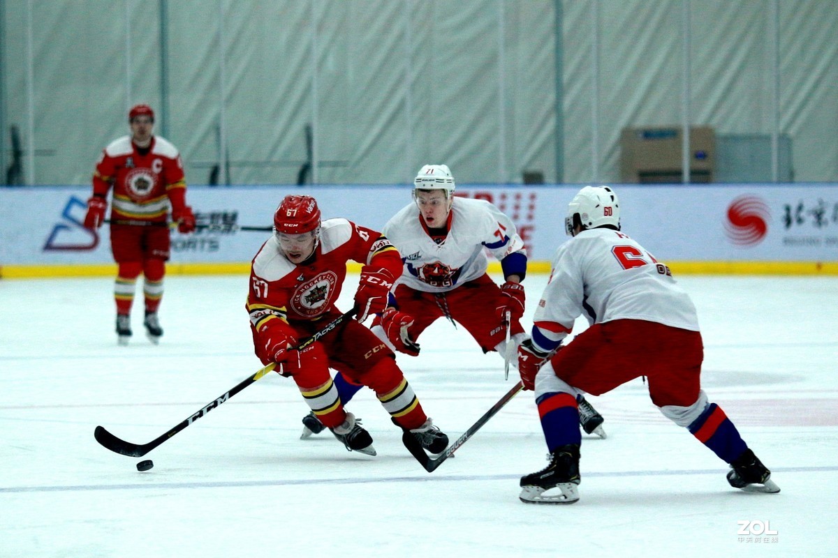 # 向版主求金钻加精 #