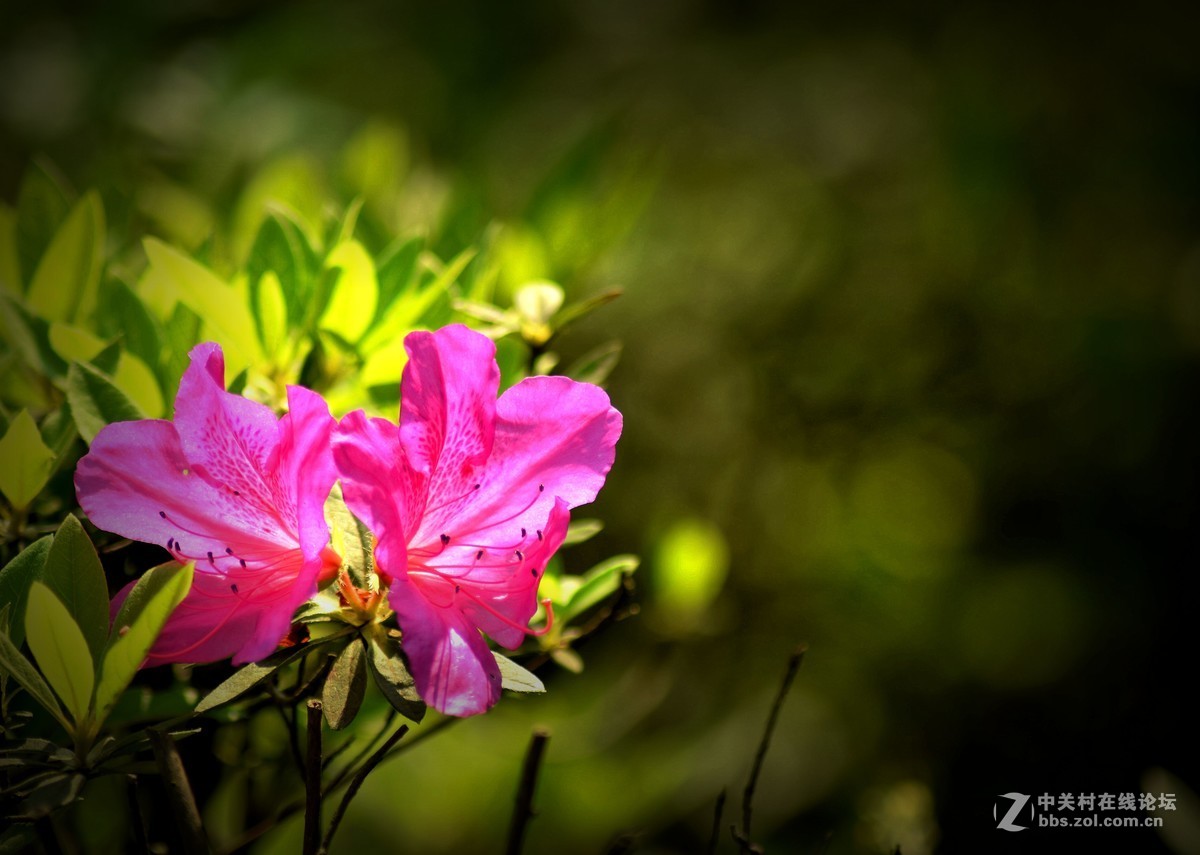 入二手腾龙A17试机