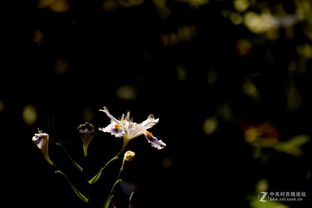 入二手腾龙A17试机