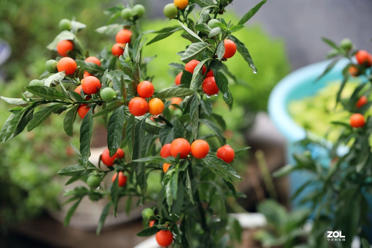 EOS RP开箱、试机