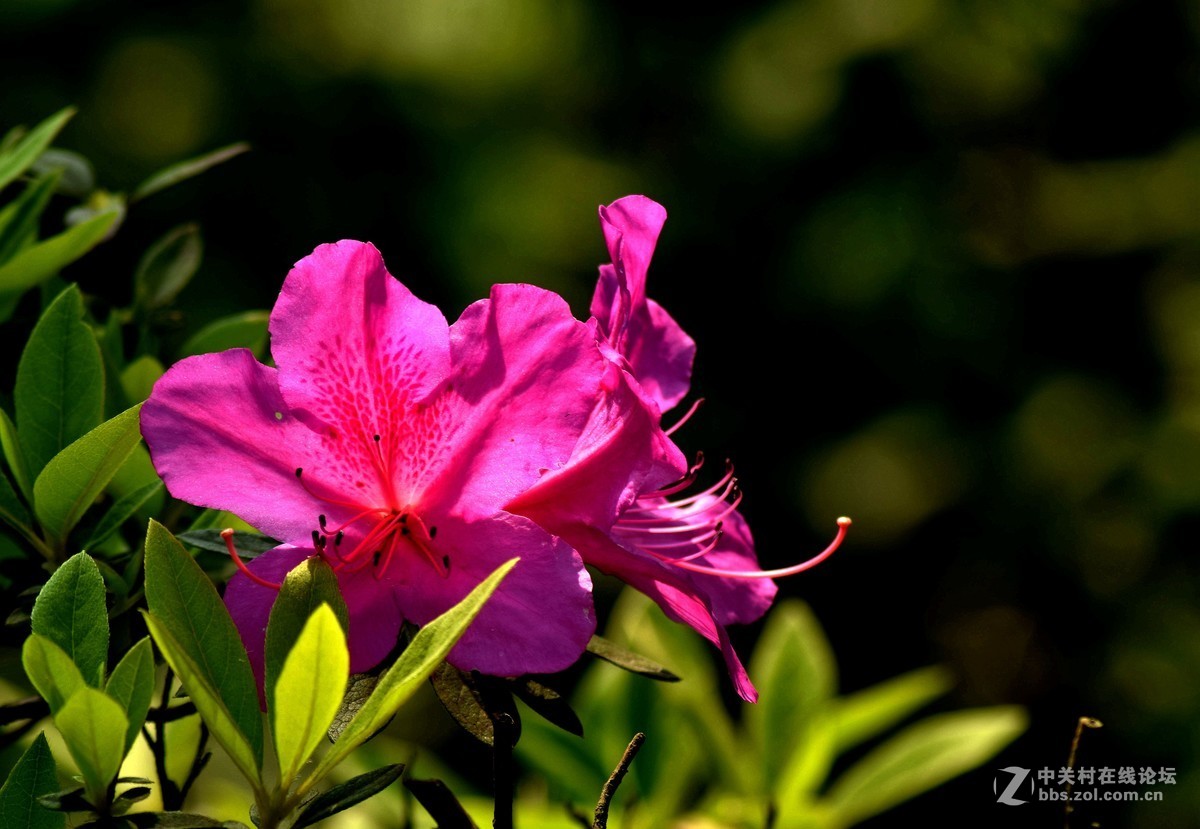 入二手腾龙A17试机