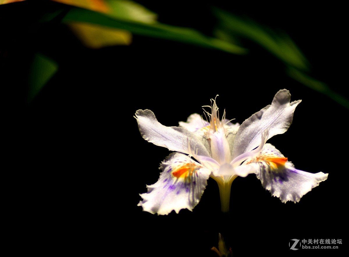 入二手腾龙A17试机