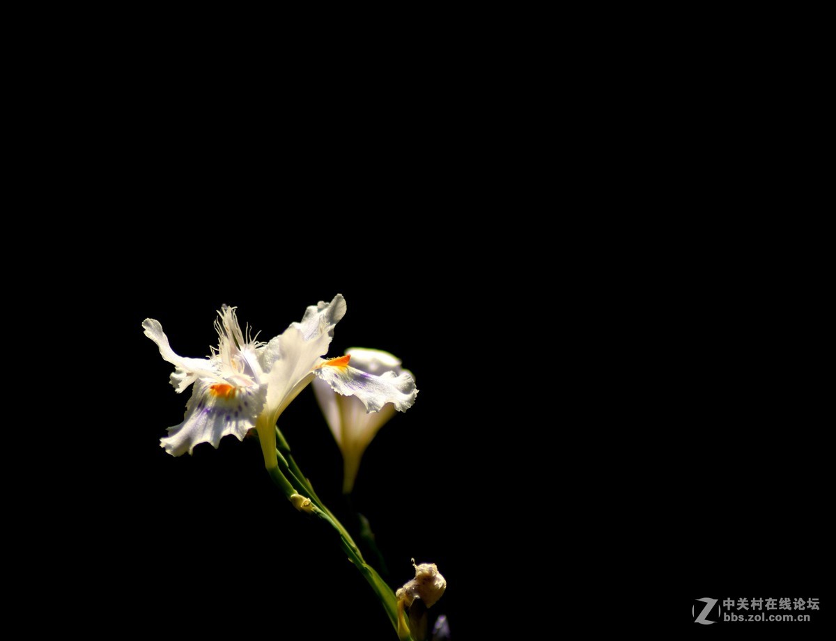 入二手腾龙A17试机