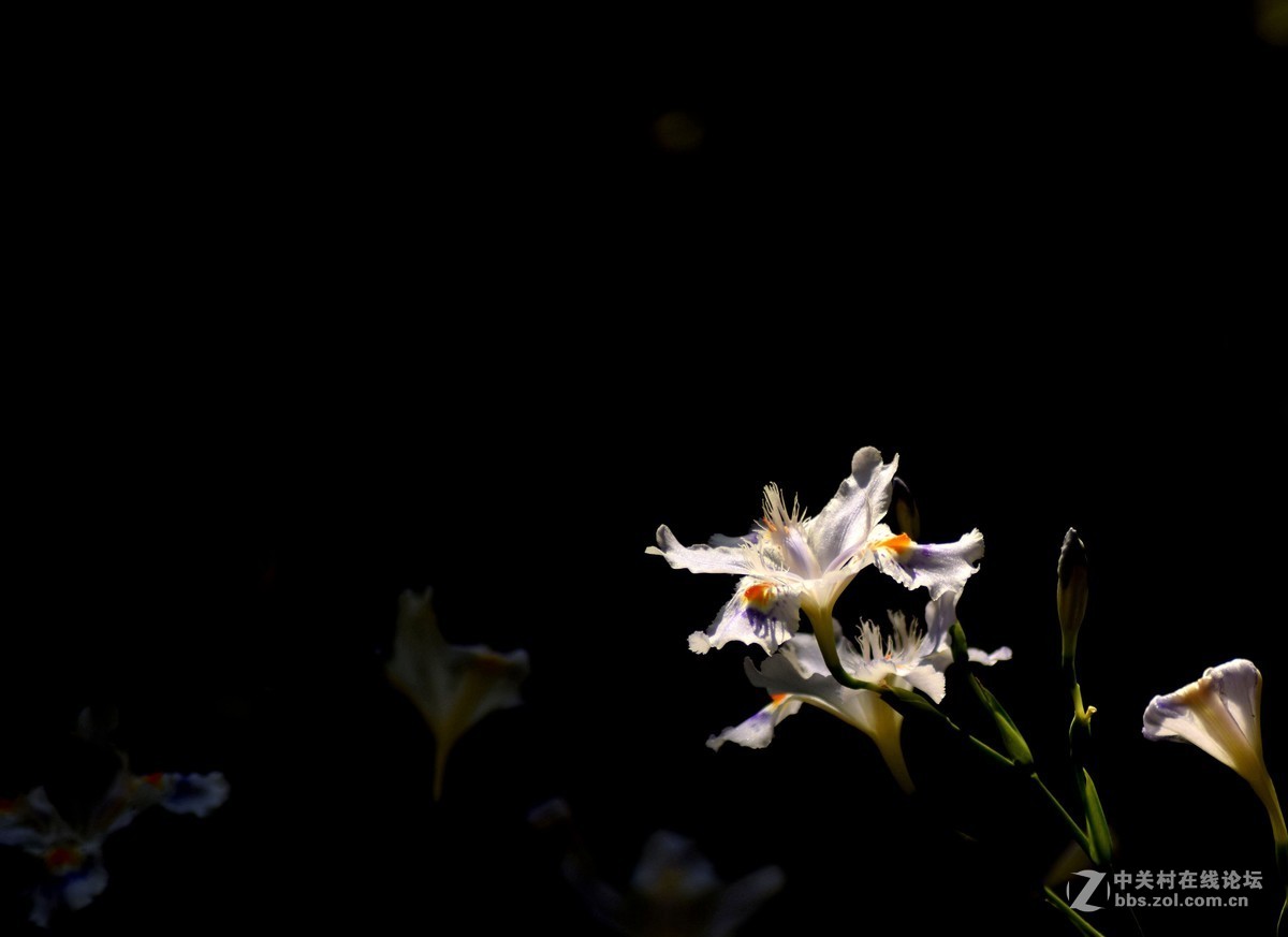 入二手腾龙A17试机