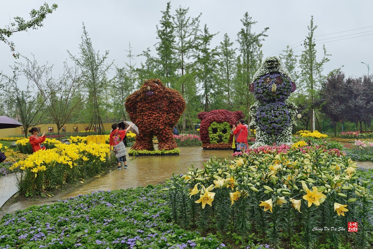 通濟花海雨中游一