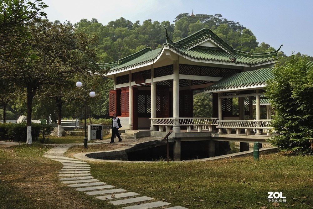 练手