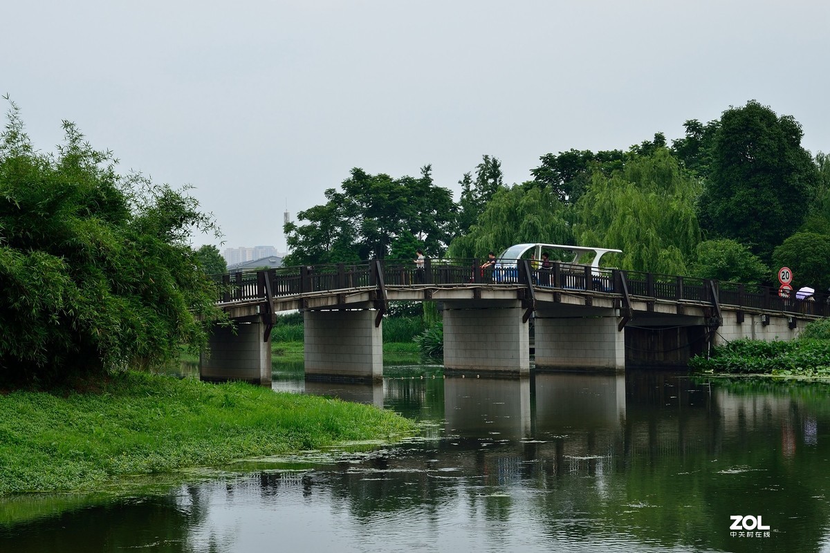 长沙洋湖湿地公园风景(2)