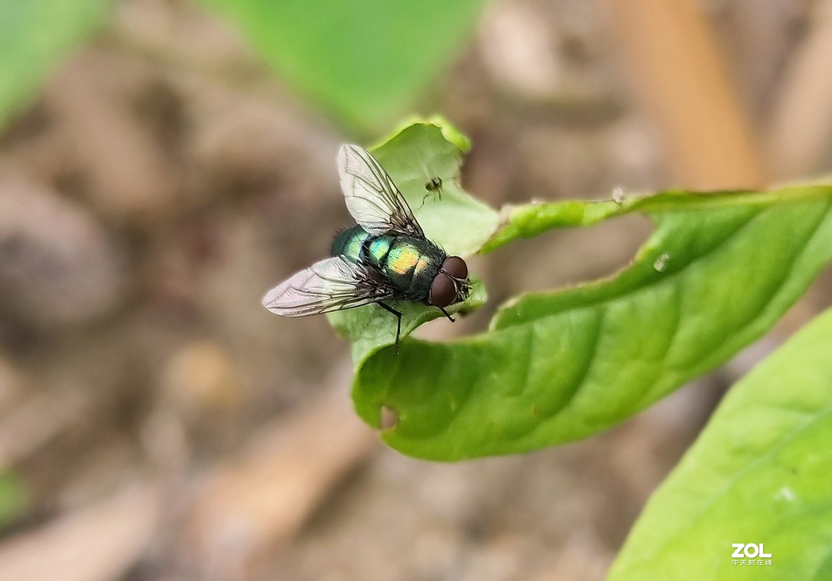 新入手realme x2拍的。
