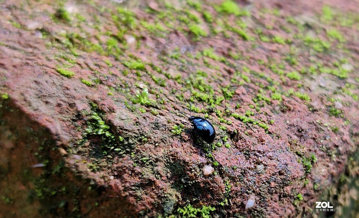 新入手realme x2拍的。