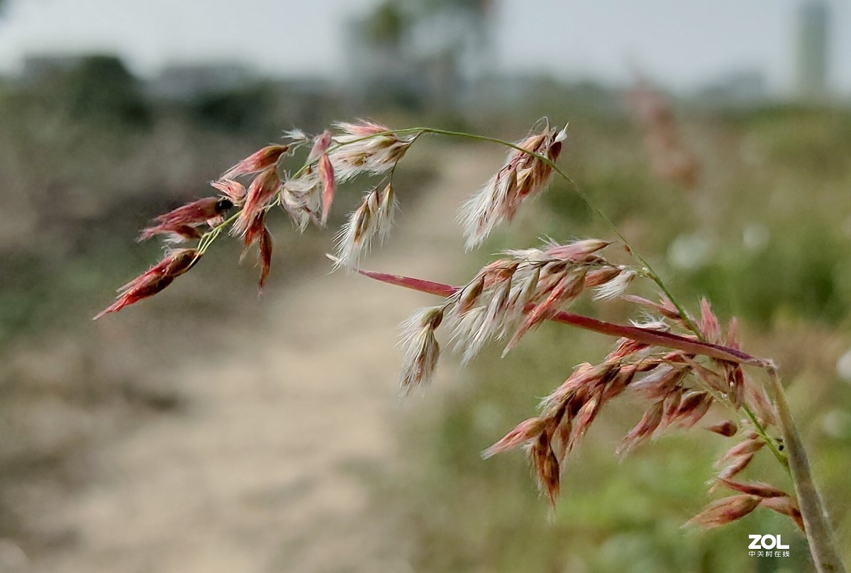 新入手realme x2拍的。