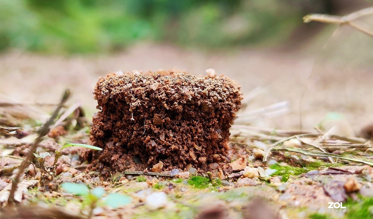 新入手realme x2拍的。